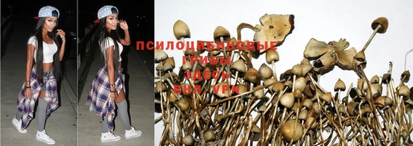 дистиллят марихуана Баксан