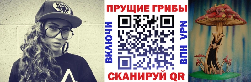 ссылка на мегу   где купить наркоту  Озёрск  Галлюциногенные грибы ЛСД 